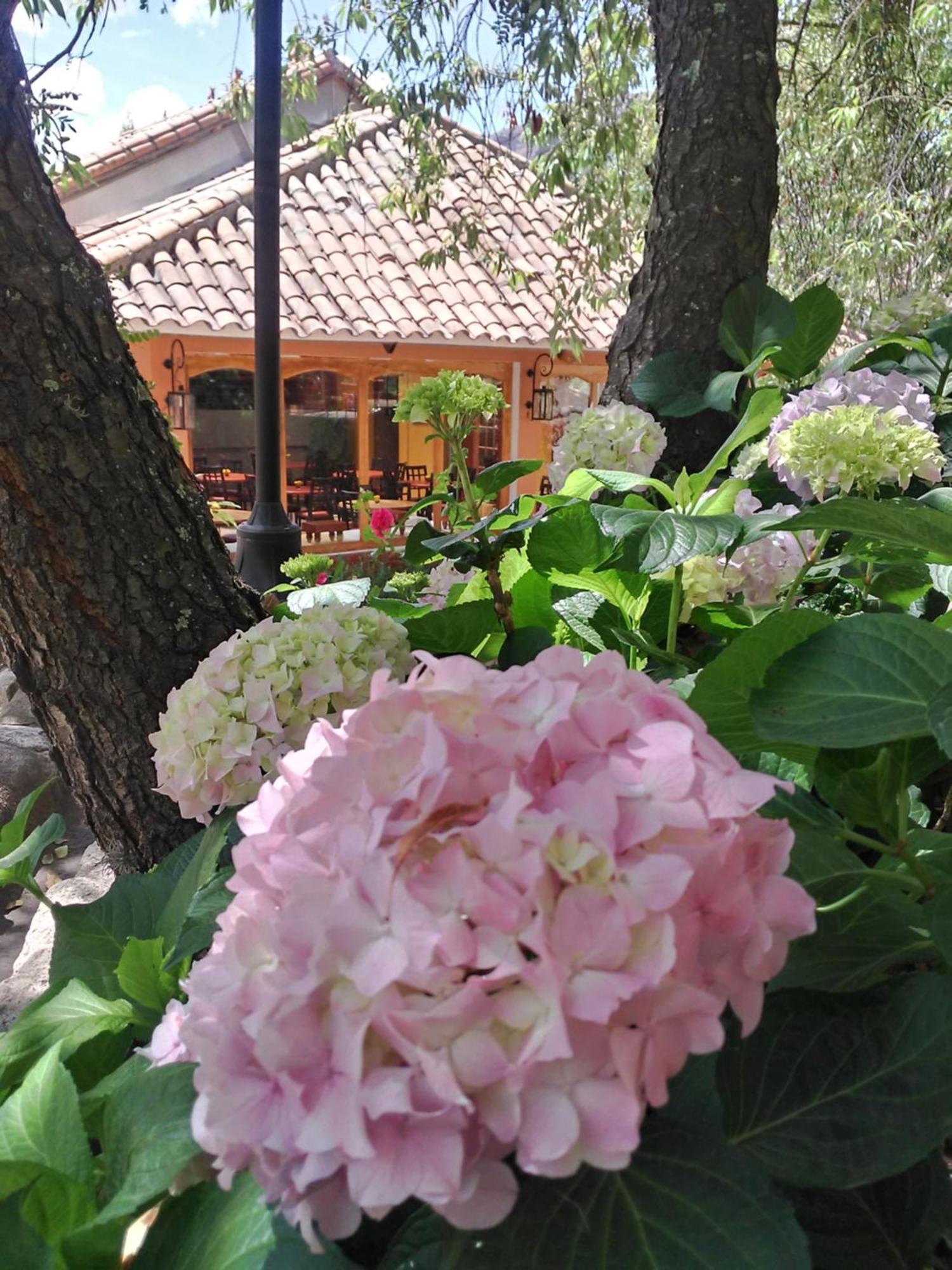 Hotel Pisonay Pueblo Urubamba Exterior foto